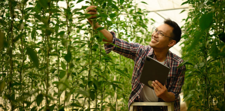 Why Going Green Is Good for Business—and How BPI Ka-Negosyo SME Loan Can Help