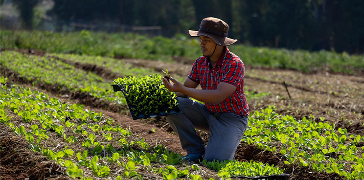 What It Means to Celebrate World Food Day in the Philippines