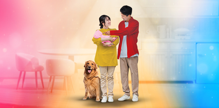 article-image